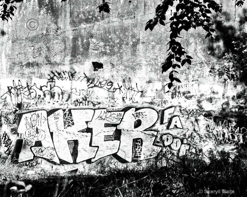 Delhaas Graffiti Wall