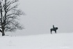 Gettysburg Winter...