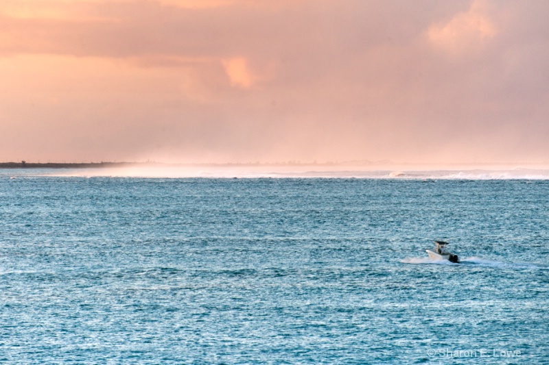 Ocean Spray, sunset - ID: 12781979 © Sharon E. Lowe
