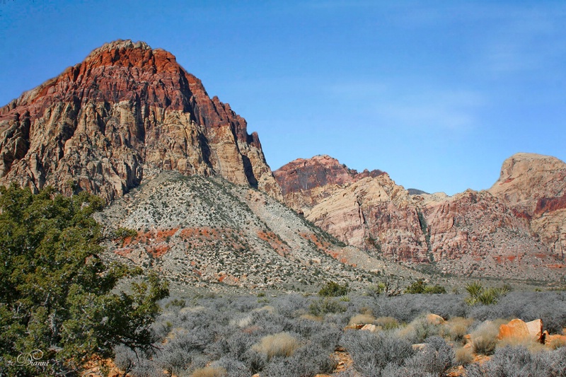 Red Rock Canyon, NV