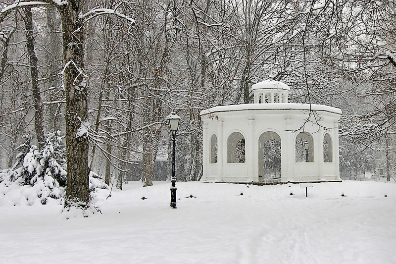 Echo in the Snow