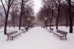 City Park in Snow