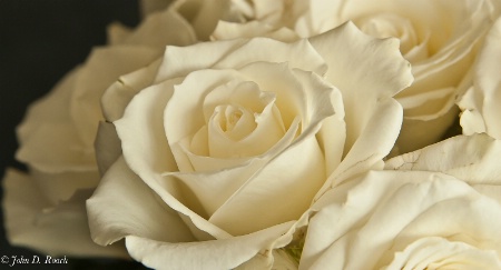 White Roses Bouquet 3