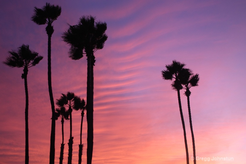 Silhouette Palms 