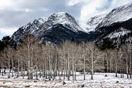 Winter In The Park