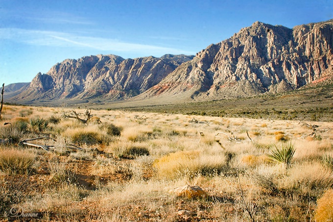 Hiking Red Rock