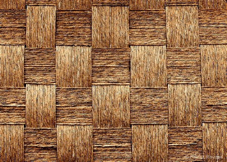 Blocks in Sepia