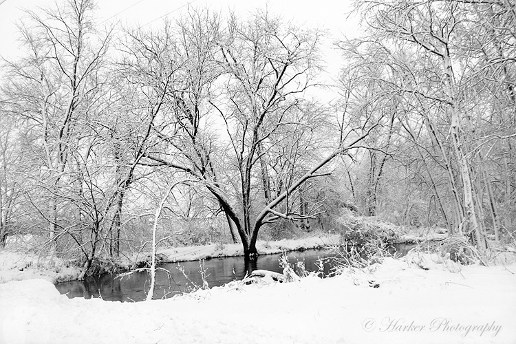 Winter Stillness