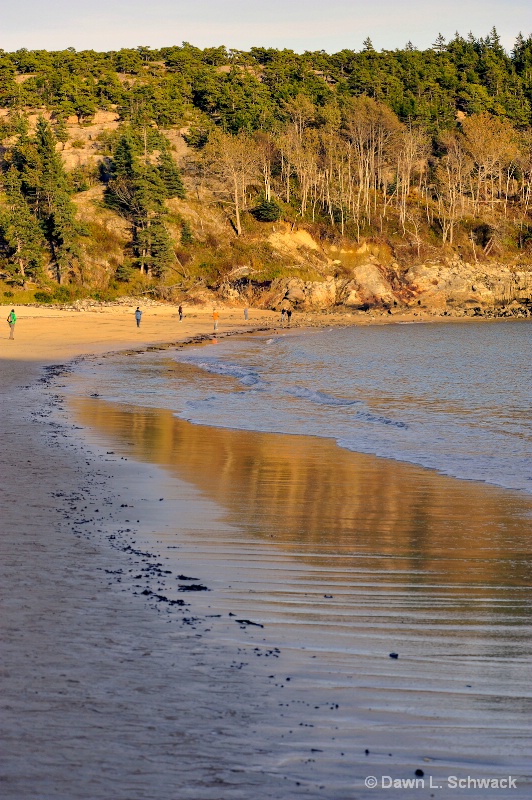 Low Tide Gold - ID: 12790603 © Dawn Schwack