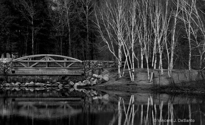 Reflection - Lincoln Woods, Rhode Island