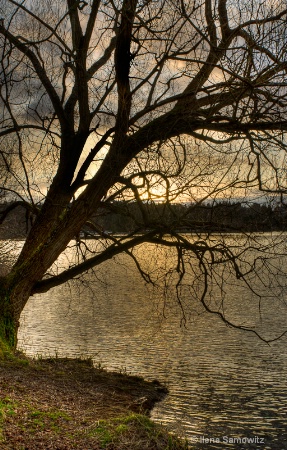 Sunset Silhouette at Green Lake
