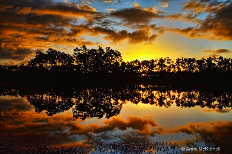 Long Pine Key Sunrise