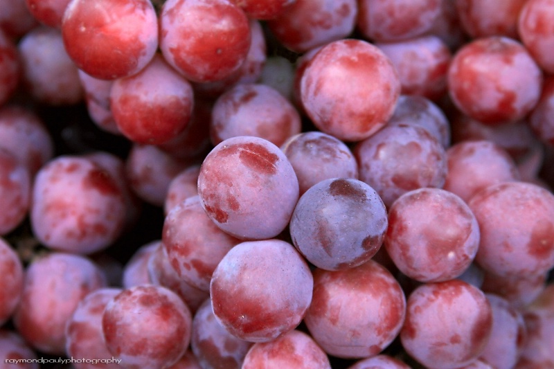 Red Grapes