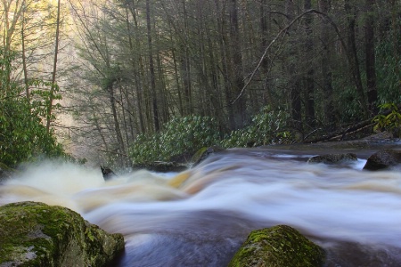 Top of the Falls