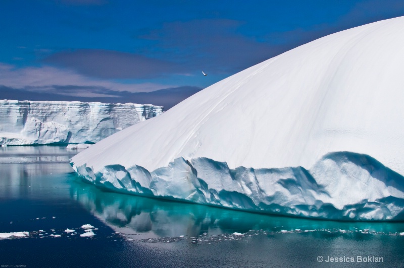 Tabular Icebergs - ID: 12793811 © Jessica Boklan