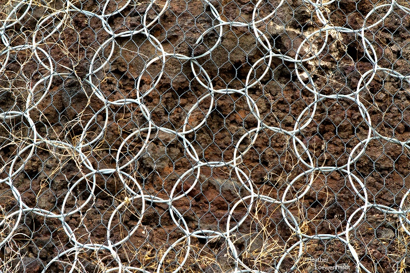 Meshed With Steel