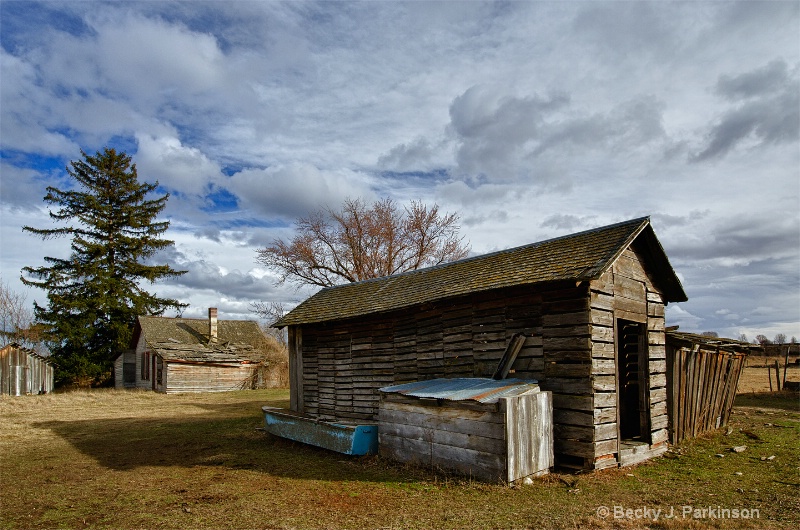 Homestead