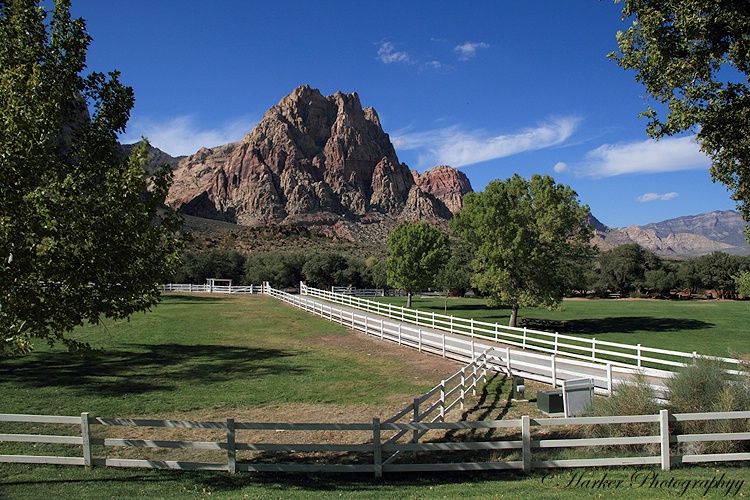 Spring Mountain Ranch State Park, NV