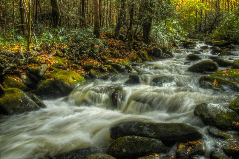 Roaring Fork Creek, Smoky Mnts.