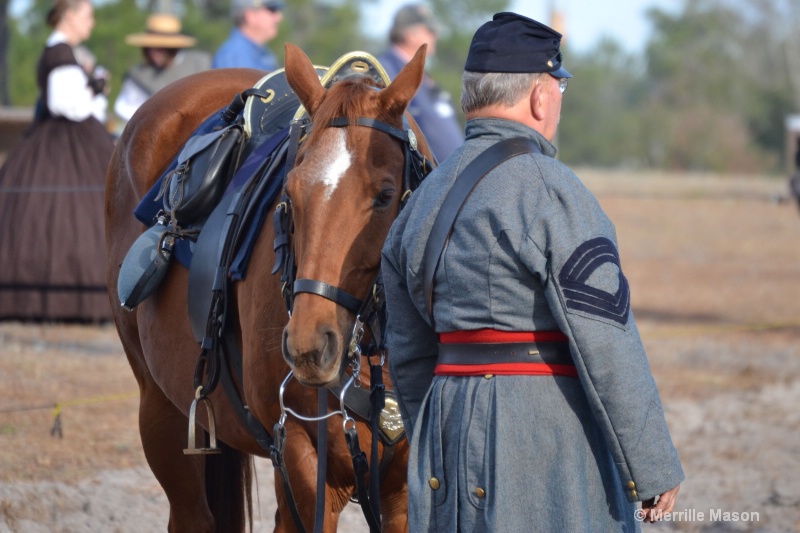 Confederate Sgt with stead