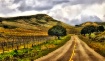 A Country Drive