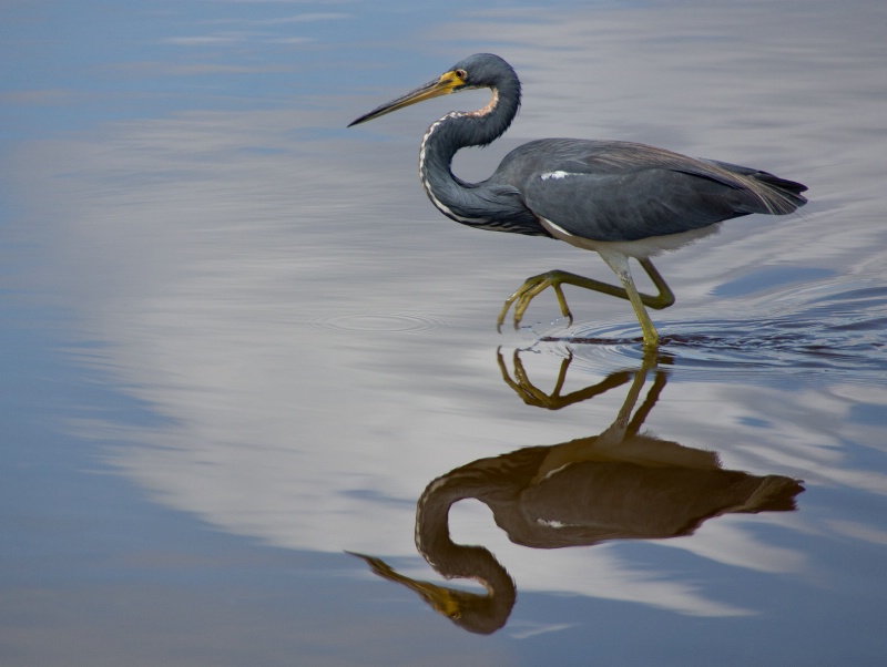 Heron Reflections