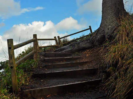 Coast Trail