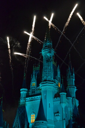 DISNEY FIREWORKS