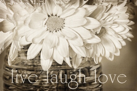 live laugh love