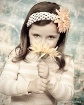 Posies 