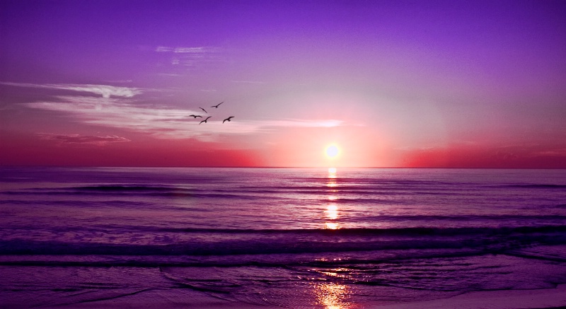 Beach Sunrise - ID: 12807988 © Lydia Lee