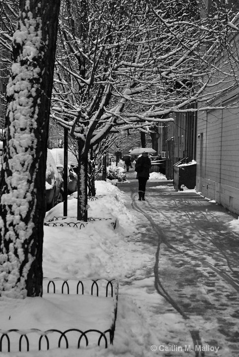 NYC Winter