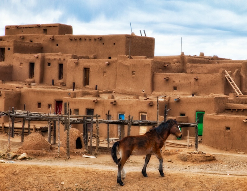 Taos Pueblo Pony