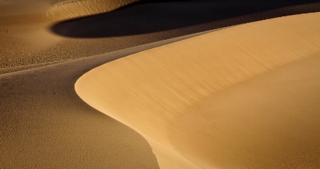 Dune Shadow