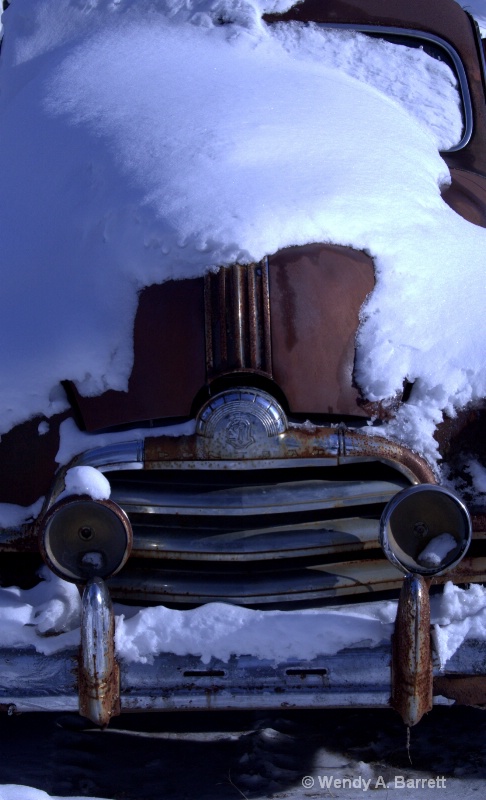 Pontiac - landed in a junkyard in maine - ID: 12816268 © Wendy A. Barrett