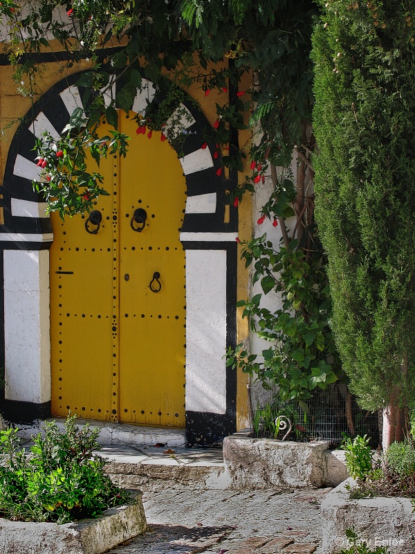 " Yellow Door of Tunisia "