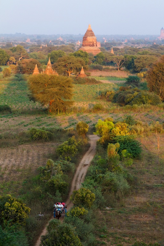 Carriage and Pagodas in Bagan, Myanmar