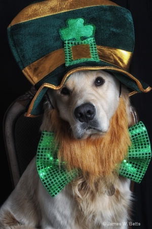 Irish Marley