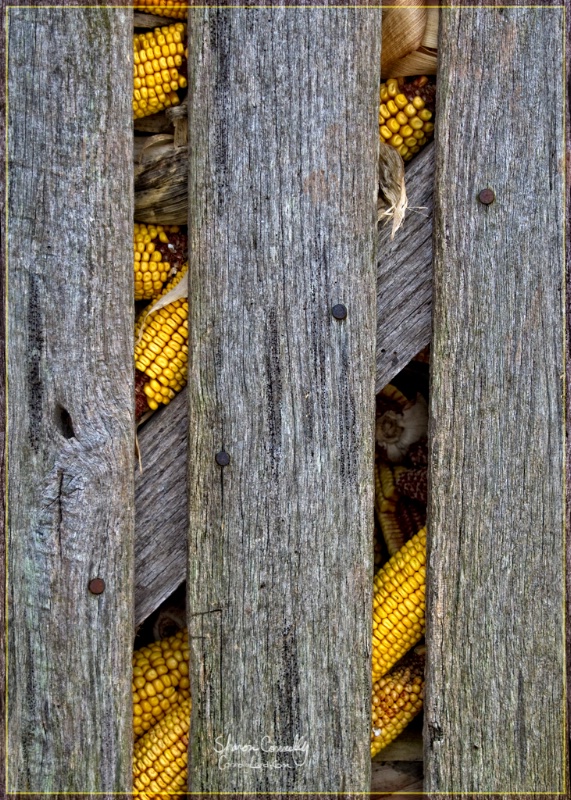 Corn Crib