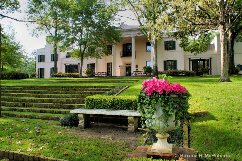 Bayou Bend Gardens