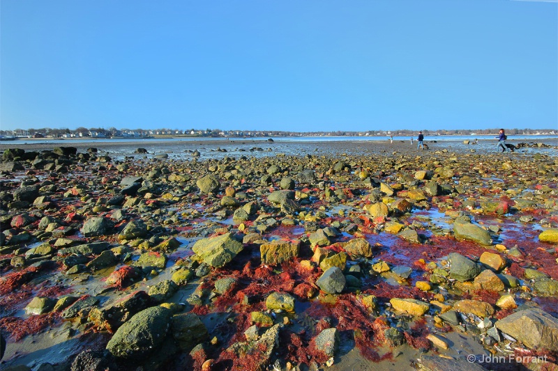 Rocky Walk