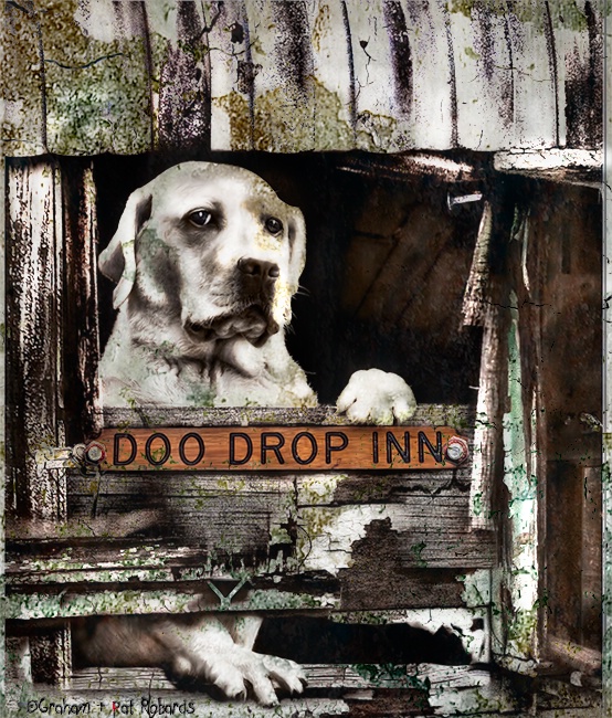 DOO DROP INN