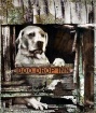 DOO DROP INN