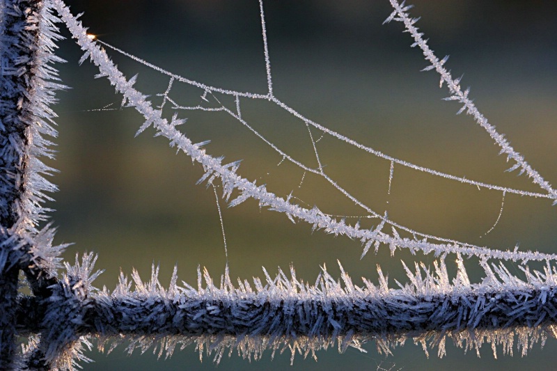 Lines of Frost