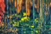 Watercolors