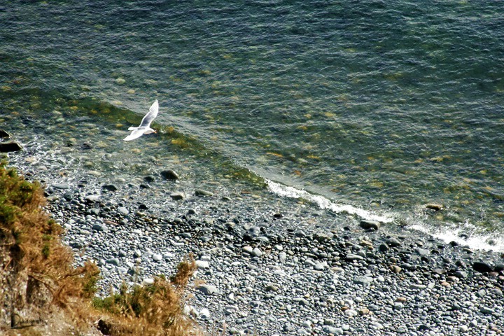 Whidbey Island, WA