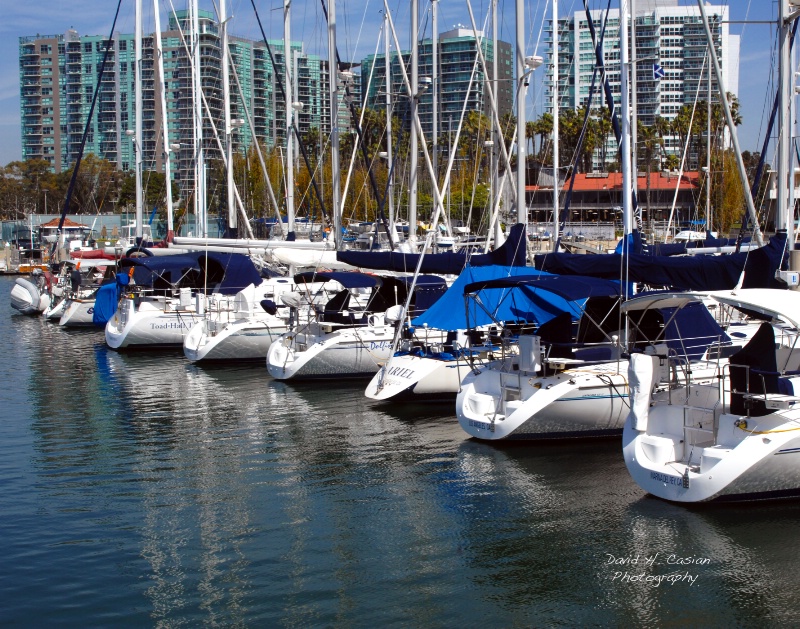 Marina Del Ray