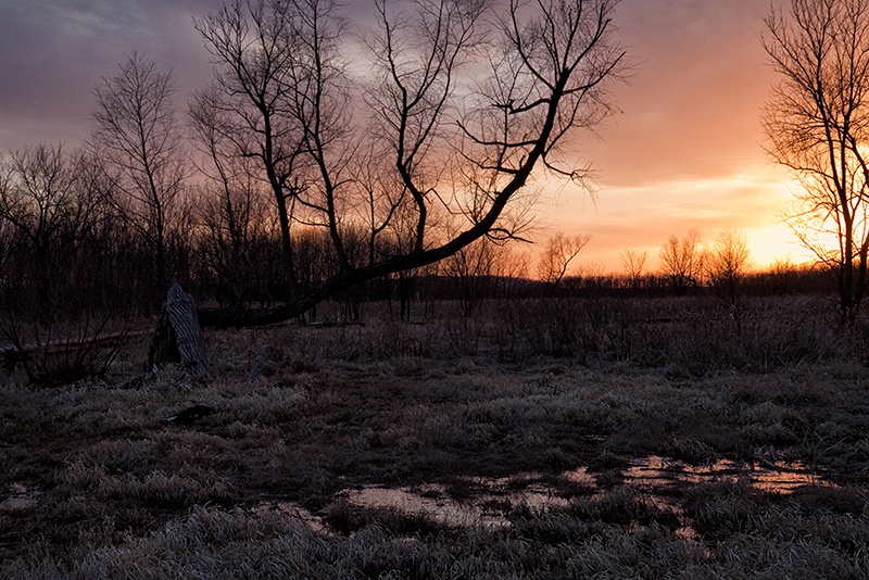 The Sun Sets on Kansas Wetlands