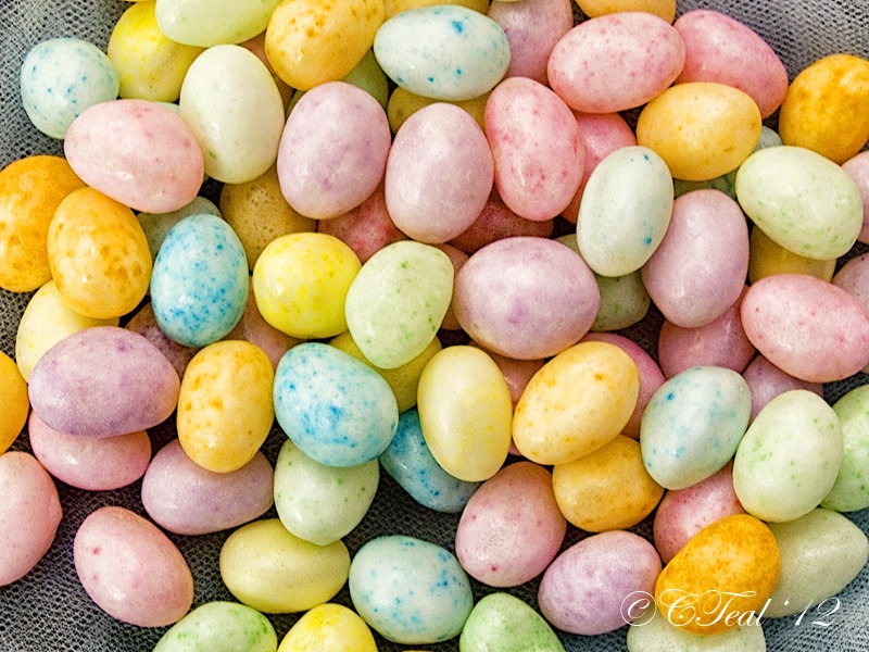Speckled Eggs 