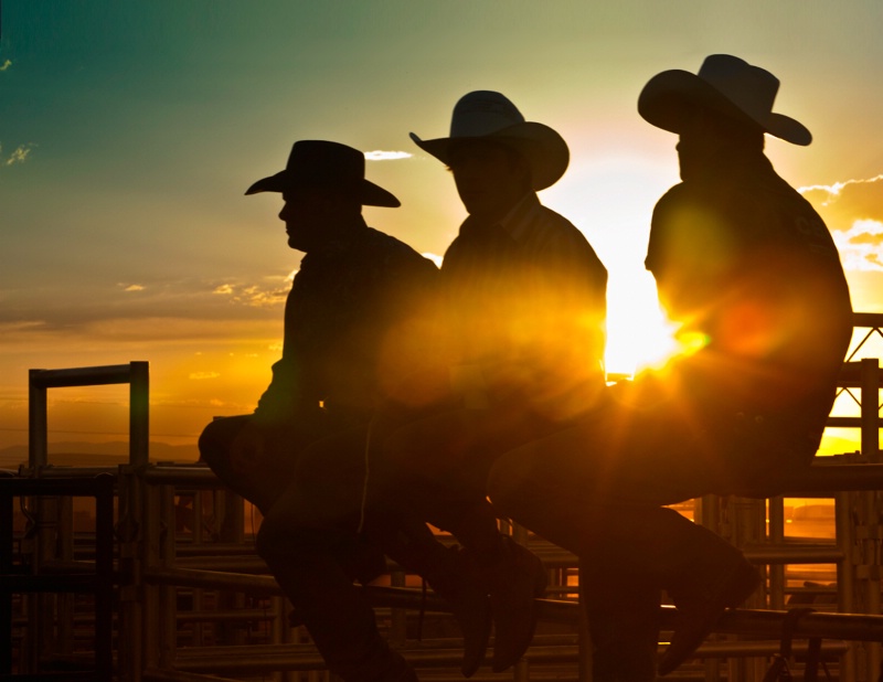 Cowboy Sunset